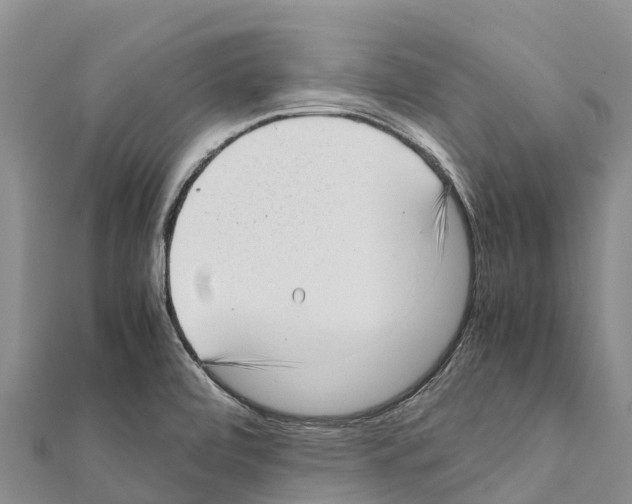 X0000111391472200908211351