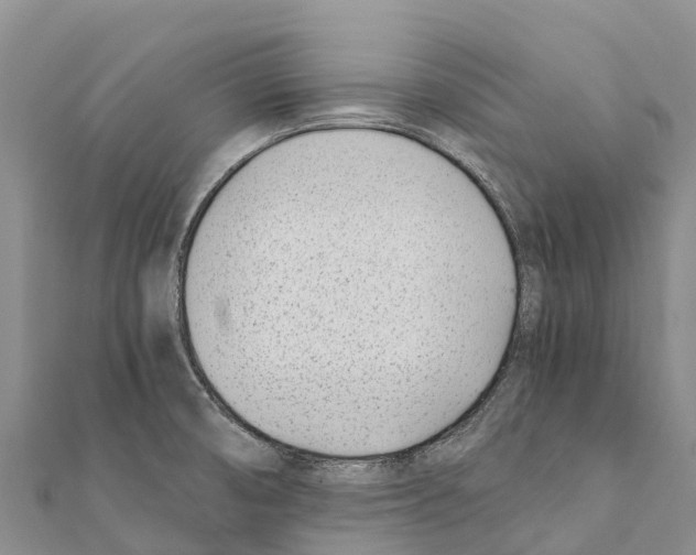 X0000111391474200908211351