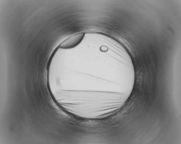 X0000111391476200908211351