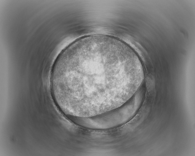 X0000111391477200908211351