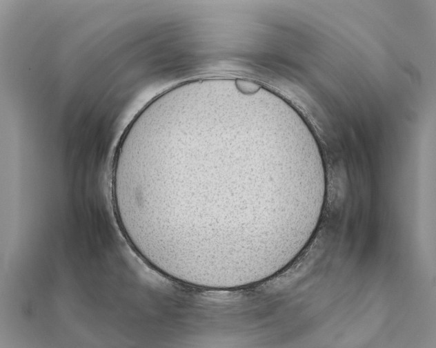 X0000111391478200908211351