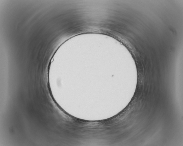 X0000111391479200908211351