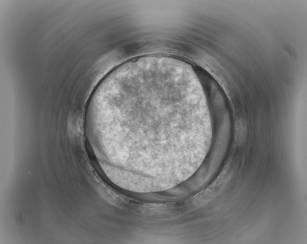 X0000111391481200908211351