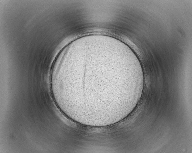 X0000111391482200908211351