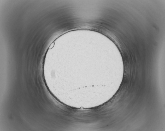 X0000111391483200908211351