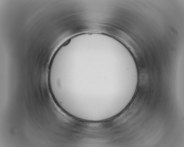 X0000111391484200908211351