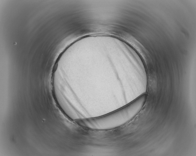 X0000111391485200908211351