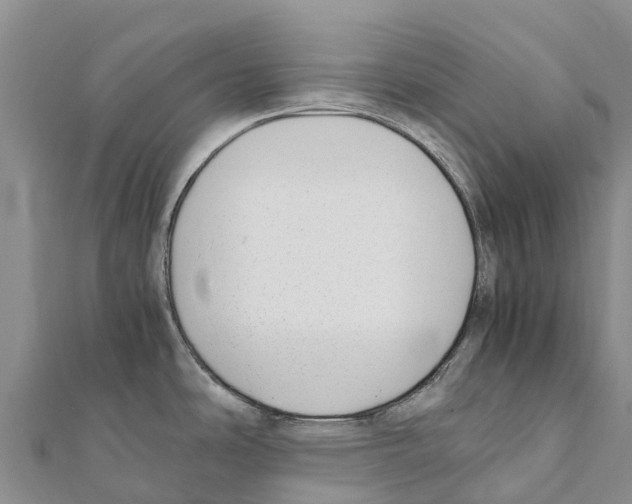 X0000111391486200908211351