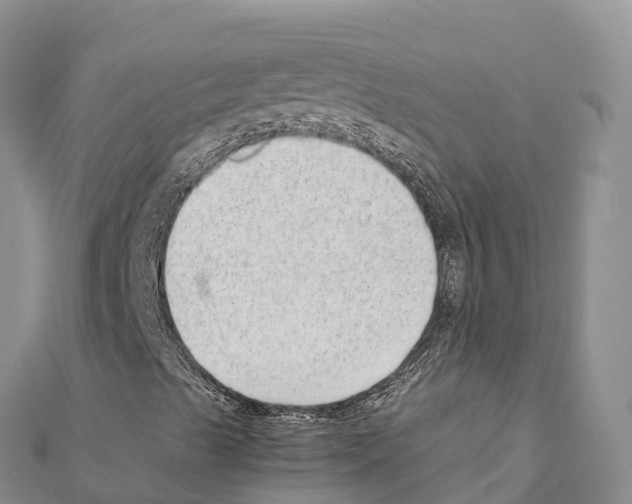 X0000111391489200908211350