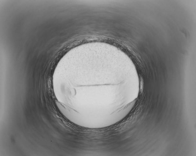 X0000111391492200908211350