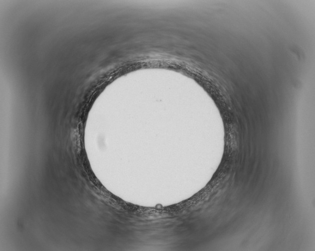 X0000111391493200908211350