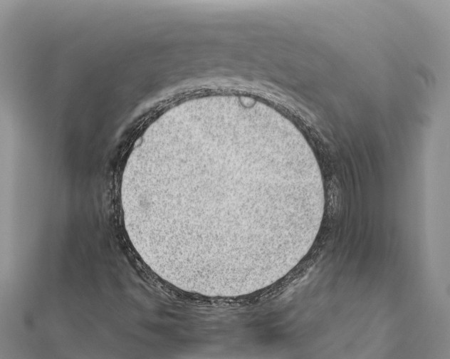 X0000111391494200908211350