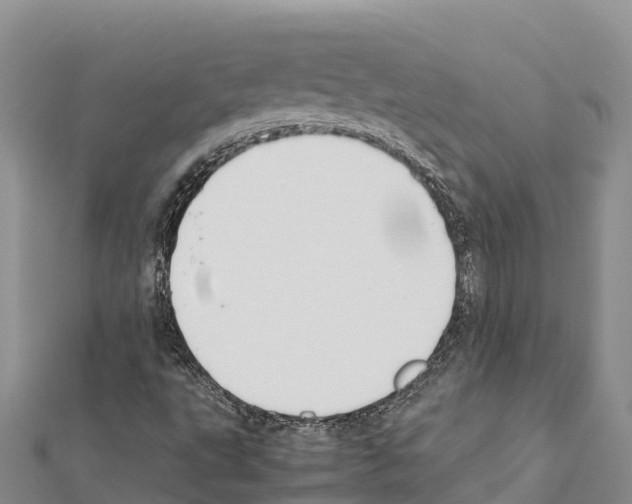 X0000111391495200908211350