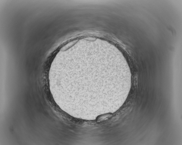 X0000111391496200908211350