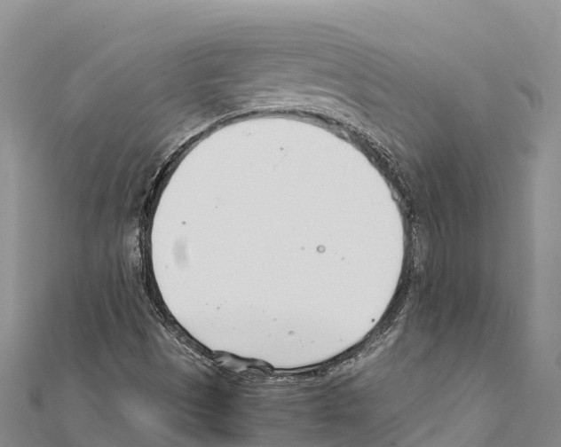 X0000111391497200908211350