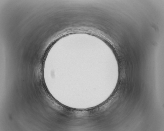 X0000111391498200908211350