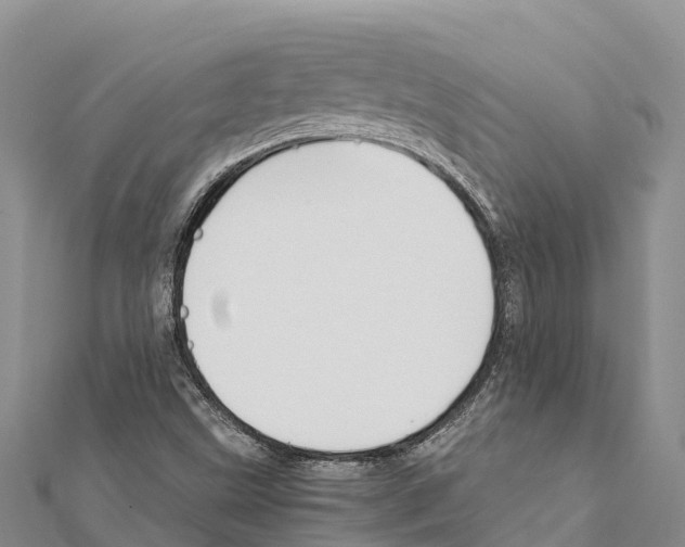 X0000111391499200908211350