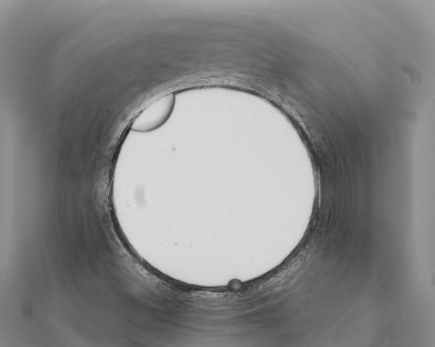 X0000111391500200908211350