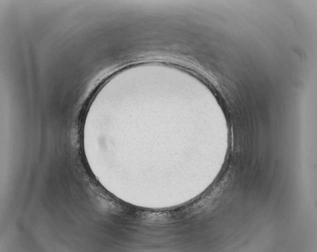 X0000111391501200908211350