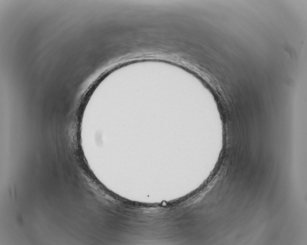 X0000111391502200908211350