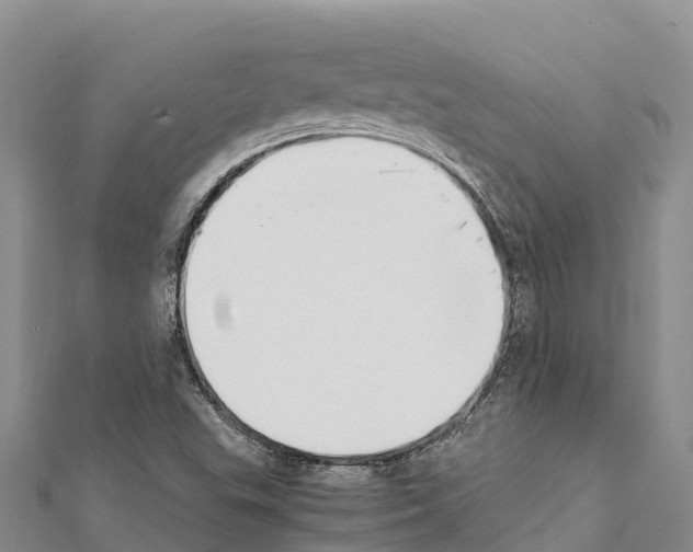 X0000111391503200908211350