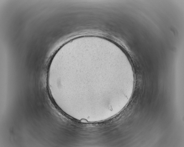 X0000111391504200908211350