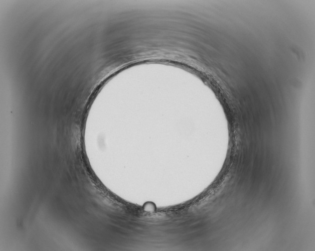 X0000111391505200908211350