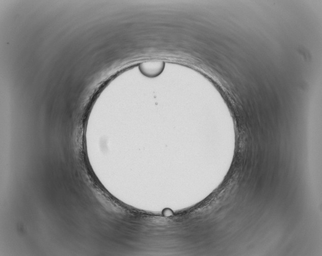 X0000111391507200908211350