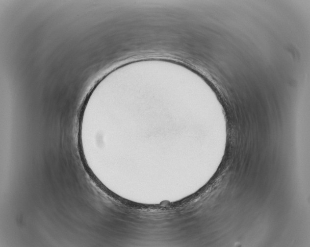 X0000111391508200908211350