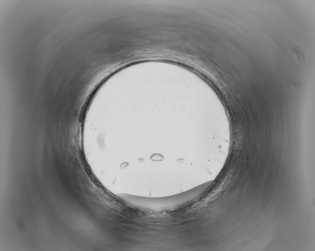 X0000111391509200908211350