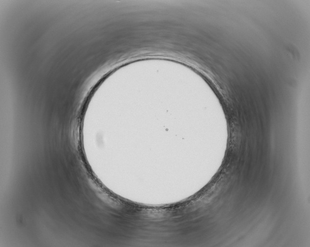 X0000111391511200908211350