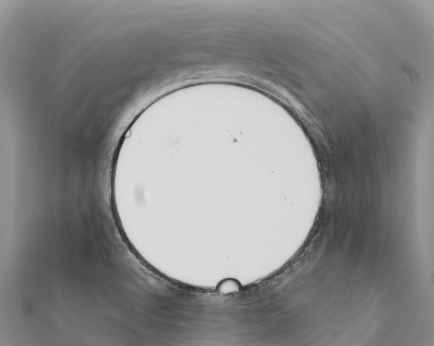 X0000111391512200908211350