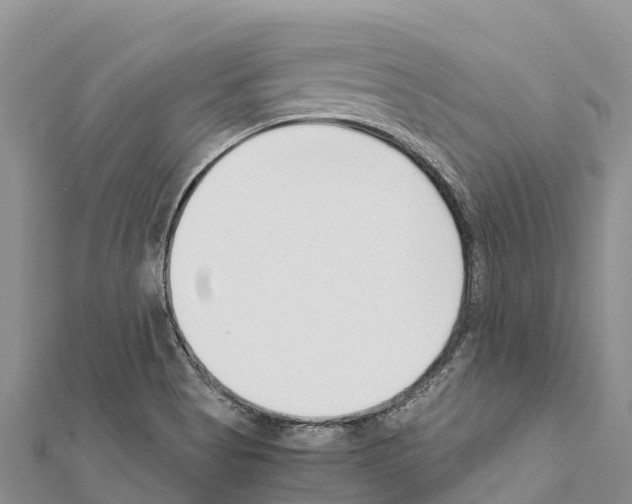 X0000111391513200908211350