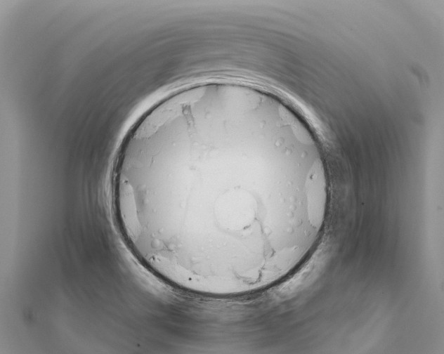X0000111391514200908211350