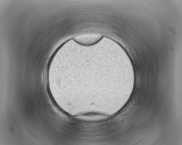 X0000111391515200908211350