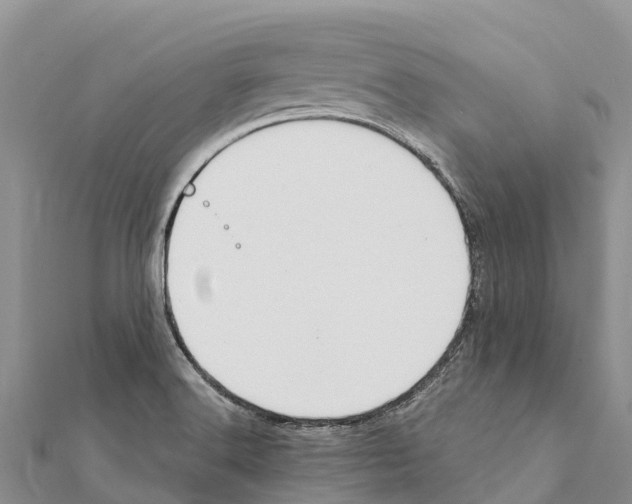 X0000111391516200908211350