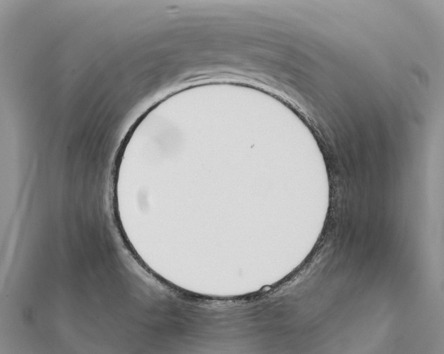 X0000111391518200908211350