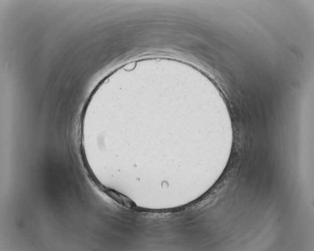 X0000111391519200908211350