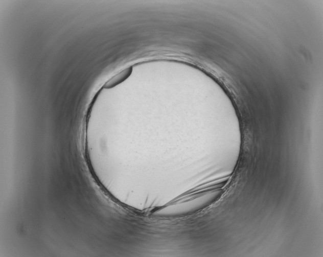 X0000111391520200908211350