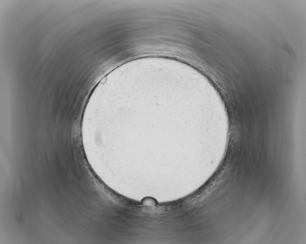X0000111391521200908211350