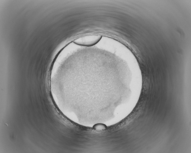 X0000111391522200908211350