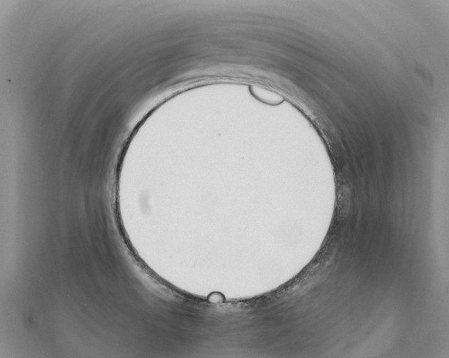 X0000111391523200908211350