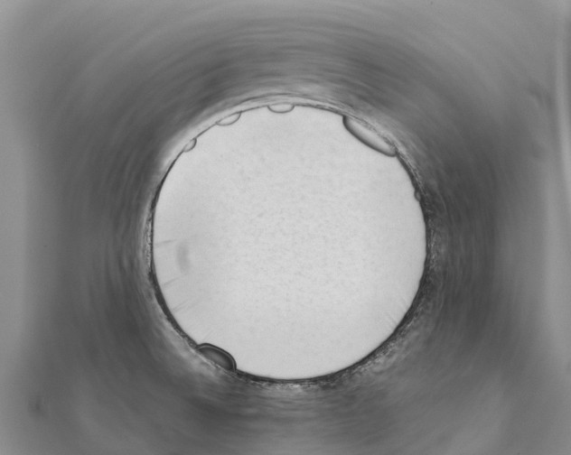 X0000111391524200908211350