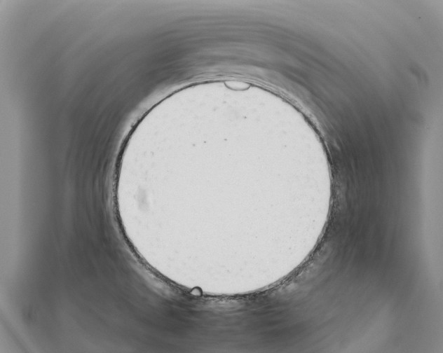 X0000111391525200908211351
