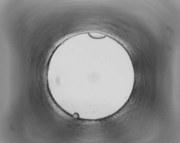 X0000111391526200908211351