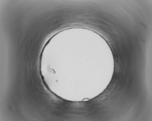 X0000111391527200908211351
