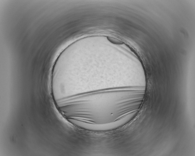 X0000111391528200908211351