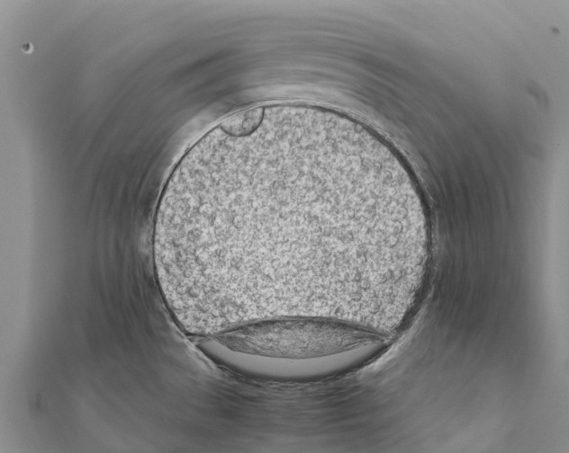 X0000111391529200908211351