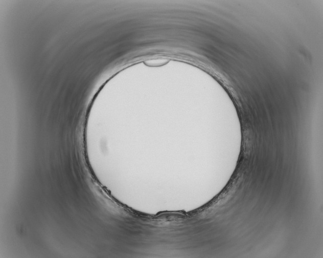 X0000111391530200908211351