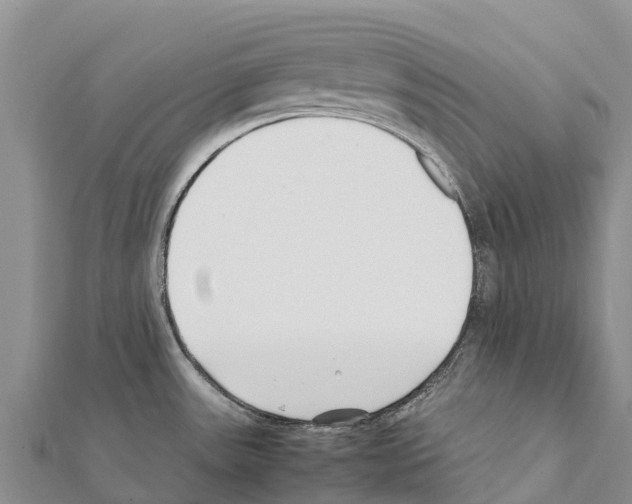 X0000111391531200908211351